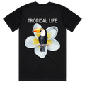 Toucan