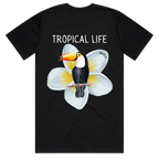 Toucan