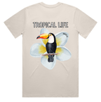 Toucan