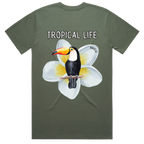 Toucan