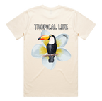 Toucan
