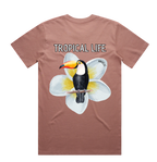 Toucan