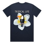Toucan
