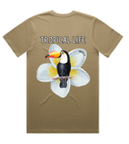 Toucan