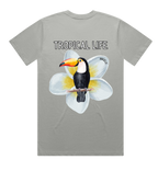 Toucan
